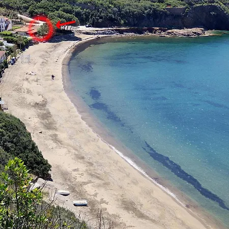 Dei Cavallucci Marini Capoliveri (Isola d'Elba)