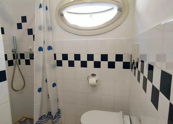 Dei Cavallucci Marini *