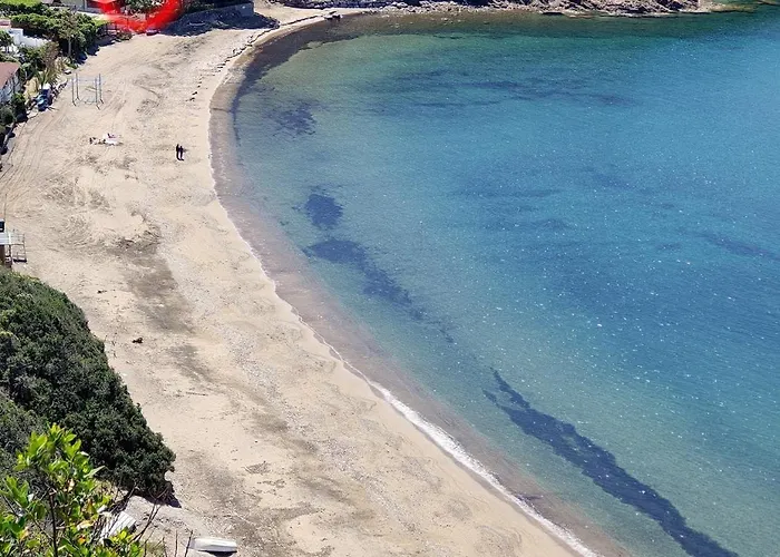 Dei Cavallucci Marini Capoliveri (Isola d'Elba)