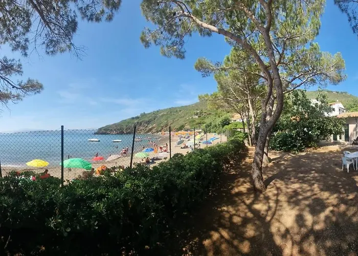 Dei Cavallucci Marini