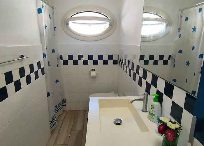 Dei Cavallucci Marini *