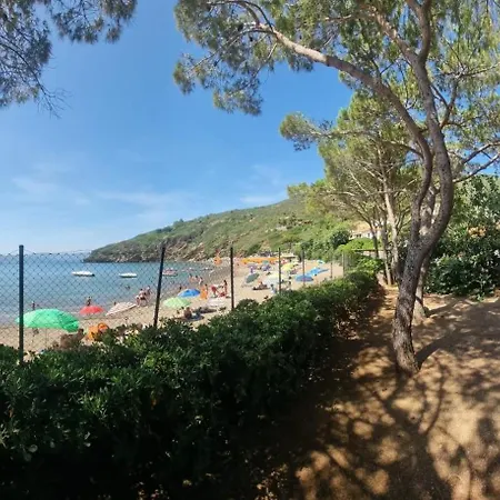 Dei Cavallucci Marini