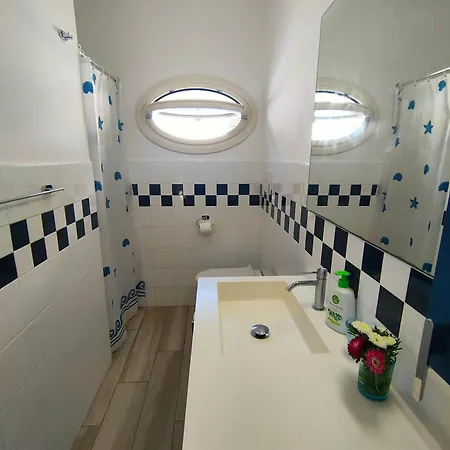 Dei Cavallucci Marini *